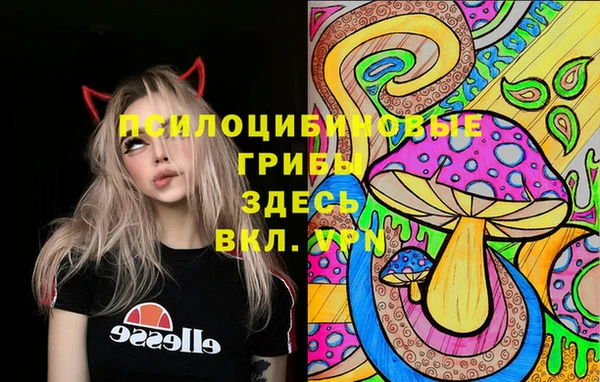 экстази Алексеевка