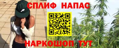 МДПВ Гусев