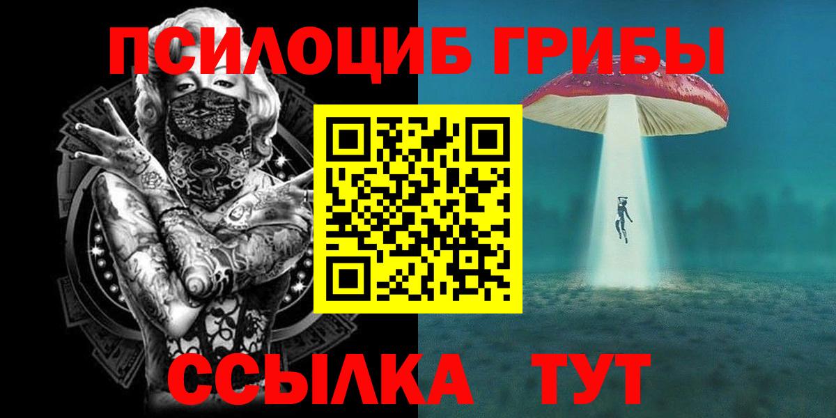 Миллерово  Псилоцибиновые грибы ЛСД  даркнет сайт  Вход с VPN  Псилоцибиновые грибы прущие грибы 